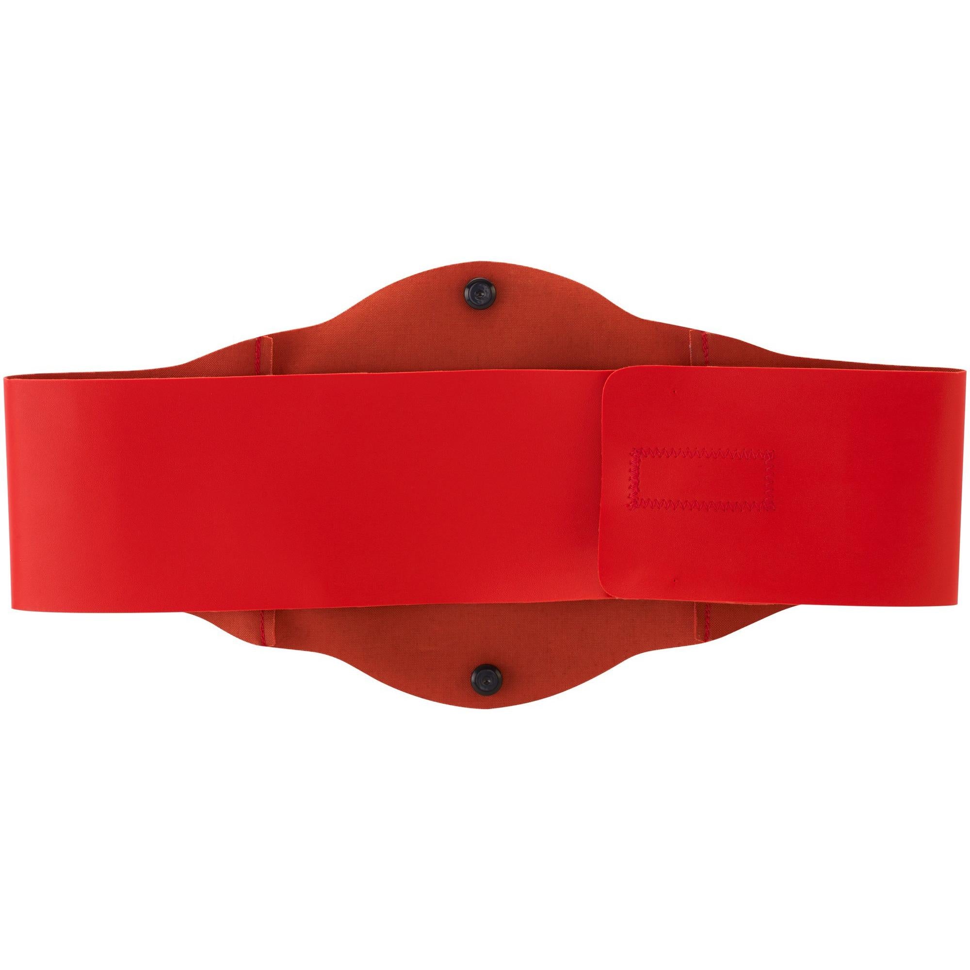 Raw Tag Team Championship Title Belt with Authentic Details