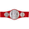 Raw Tag Team Championship Title Belt with Authentic Details